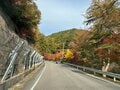 あの「香嵐渓」超える紅葉名所か！？  知る人ぞ知る「夕森渓谷」とは！  名古屋から1時間半「清流・川上川」がつくる絶景の渓谷美「現地レポ」の画像001