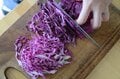 お湯に沈めて待つだけ「低温調理のローストポーク」が主役！  アウトドアで「サンドイッチパーティ」を楽しもう【季節の外ごはん vol.46】の画像005