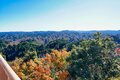 まだ間に合う！【関東の紅葉最終案内】房総・大福山と梅ヶ瀬渓谷で晩秋のんびり歩きの画像013