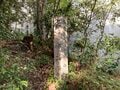 紫式部由来の寺を参拝し、京都で最古級の神社へ至る【京阪電鉄鴨東線（その3）関西鉄道路線周辺曼荼羅 vol.45】の画像004