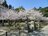 「日本三景・安芸の宮島」の巨石群と「瀬戸内海の絶景」が見渡せる弥山！  2時間半以内で登れる「全3コース」の魅力とは？の画像002