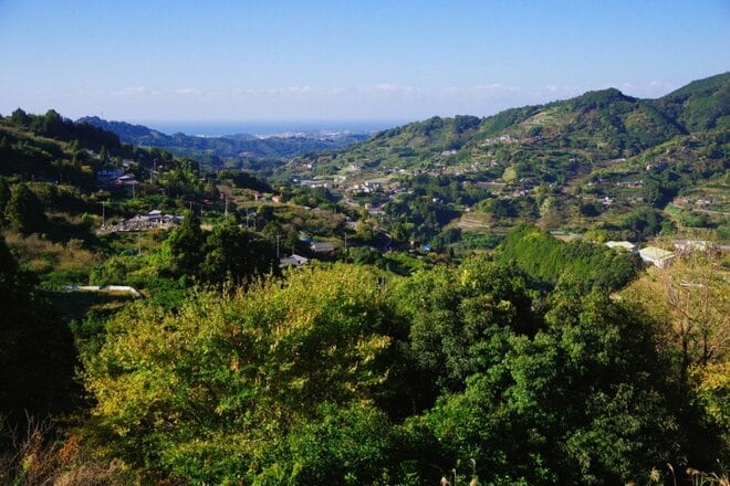 【熊野古道中辺路】じつはサブルートも楽しい！「中辺路」のおかわりコースを解説＜熊野古道の歩き方 vol.3＞の画像001