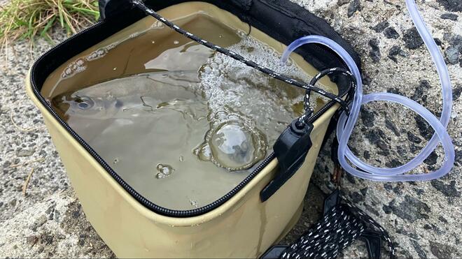 100均「ダイソー」の「1,000円エアーポンプ」 堤防釣りで使ってみた！  釣った魚が元気＆手持ちのモバイルバッテリーが使えて便利！  注意点は？の画像003