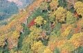 10月初旬「北アルプス紅葉」は蓮華温泉から白馬大池まででもOK！  登山デビューの頃におすすめされたコース「錦秋の登山道＆野天風呂」レポの画像006