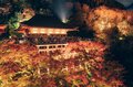 本当は教えたくない！  紅葉の京都「夜のライトアップ絶景」スポットめぐり術！ 「一晩で数か所もOK」 可能にする宿＆手段とは？  2023年・実践レポの画像003