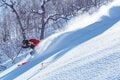 「ニセコ、ルスツ、キロロ、トマム、テイネ」ほか、パウダーフリーク “垂涎の的”【ツリーランが滑れる全国スキー場ガイド vol.1  北海道 編】の画像009