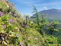 圧巻のスケールを間近に感じる「日本百名山・浅間山」 絶景の外輪山縦走「トーミの頭・黒斑山・蛇骨岳・仙人岳」登山レポの画像011