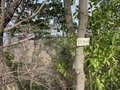 室町時代の謂れが残る大阪近郊日帰りハイキングルート「星田古道」裏山新緑トレイルの魅力【里山アドベンチャー！ソトアソ日和 vol.10】の画像007