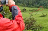 登山で野生動物との「サプライズ遭遇」! 尾瀬で「くつろぐクマ」&白馬の「ケンカ雷鳥」ほかエピソード6選!
