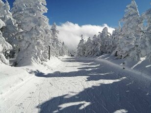 こんなスキーヤーはイヤだ！ 混雑ゲレンデでのNG「リフトマナー＆スピードコントロール」インストラクター経験ライター【実体験レポ】