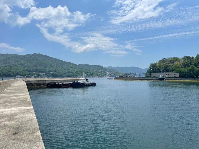 「なっ、何だこの引きの強さは！」 堤防「キス」釣りでまさかの外道「サメ」が釣れちゃった！？  経験者に学ぶ「そんな時どうする」5つの鉄則の画像006