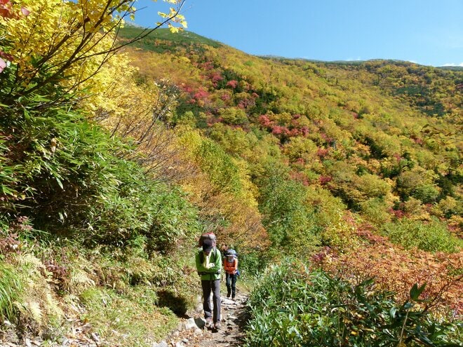 【特集 そこに山小屋を興して】北アルプス山小屋ヒストリー 第12回『冷池山荘・種池山荘・新越山荘』 鹿島槍ヶ岳や爺ヶ岳を登る拠点として、大切に守り続けた「人」「小屋」「道」の画像005