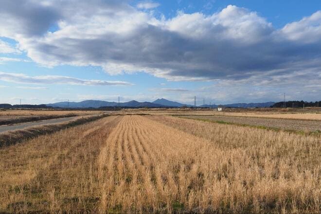 「これって、在来種？」十数年ぶり“再会”に胸アツ！ 霞ヶ浦での「寒タナゴ釣り」大正解のポイント変更からの、意外な「水中カメラ」が捉えた魚影とは！の画像011