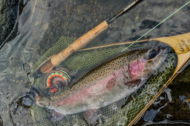 【渓流釣り】関東圏の冬季キャッチ＆リリース区間『箱根早川』でサイトフィッシング！  神奈川県小田原市｜2025年の画像004