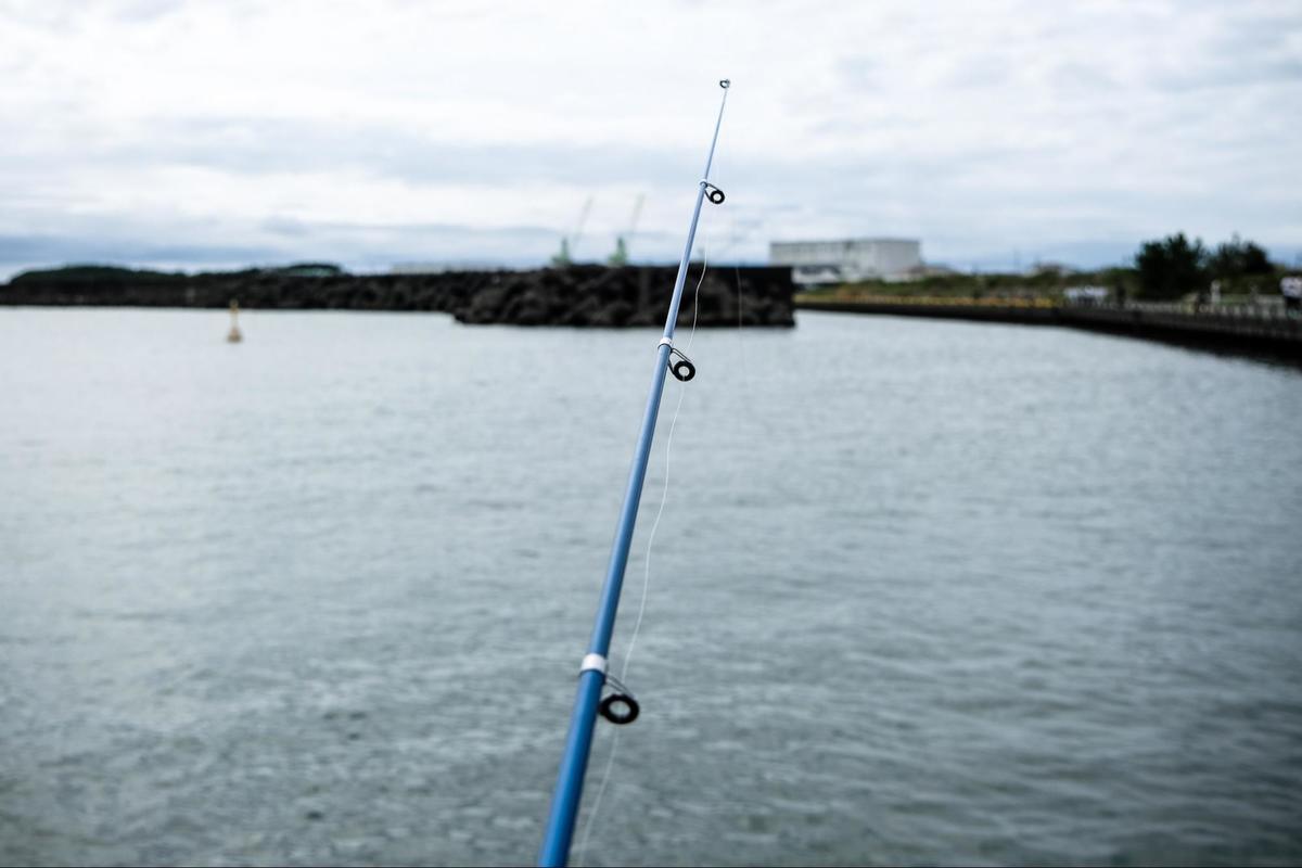 100均で買った釣り竿 で 漁獲高日本一の焼津港 での簡単堤防釣りチャレンジ 気になる釣果は 概要 アクティビティ ニュース Bravo Mountain