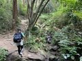 隠れた絶景スポット！  都心から1時間40分、アウトドア初心者でも楽しめる茨城県「宝篋山（ほうきょうさん）」極楽寺コースの「3つの魅力」の画像004