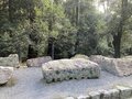 春の陽気に誘われて、伏見港公園から観月橋駅まで宇治川河川敷をテクテク歩き【京阪電鉄宇治線（その2）関西鉄道路線周辺曼荼羅 vol.32】の画像007
