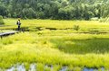 たった1時間歩くだけ！息を呑む「空よりも青い」神秘の大沼ブルー の画像006