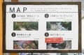 【登山前に要チェック】通行止め状況など2022年5月「奥多摩エリア最新登山道状況」インフォメーションの画像006