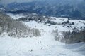 「パウダーを狙うために良い時、良い場所を知る」野沢温泉・白馬バレー・カナダ レベルストーク攻略法【村井 諄弘・舎川 朋弘・佐々木 悠～Home Mountain vol.7】の画像005