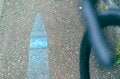 【自転車】ベストシーズン到来！「久比岐自転車道」 旧国鉄のトンネルと日本海　潮騒を感じながら “専用道” で心ほぐれるサイクリング   新潟県｜2026年の画像012