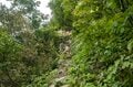 【秋山登山】長雨の合間に…… 絶景だらけの2日間！ 「山頂直下の避難小屋は、天空の撮影スタジオ」 朝日連峰・以東岳　山形県｜2026年の画像008