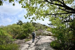 街と山が近いのが魅力！  関西エリア「3時間半の日帰りハイキング」コース3選！  電車やバスでアクセス＆絶景や滝見でリフレッシュしよう