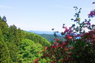 登山歴15年ライターが明かす「これだけは買え」と先輩が教えてくれた「最初の登山」4つのギアと選び方「日帰り・低山デビュー編」