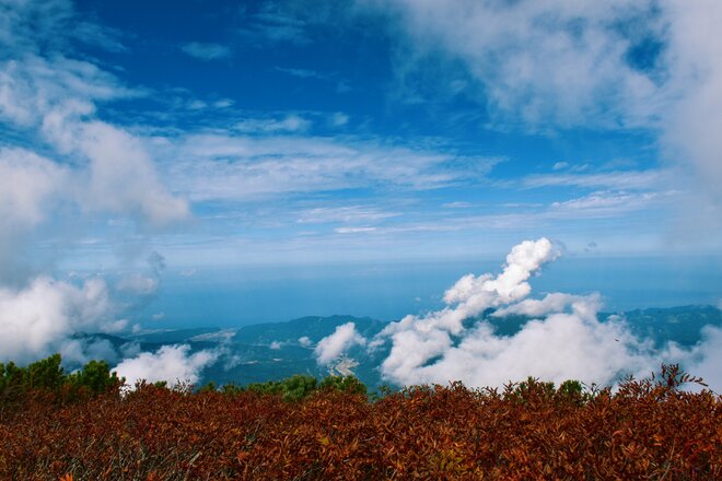 カラフルな「紅葉登山」旅！「 写活ハイク」で火打山の魅力を満喫【2021年・秋】山歩きインスタグラマーhykemika-yの画像011