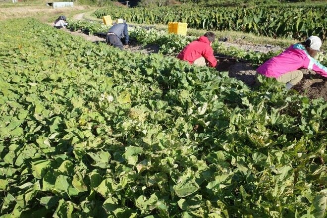 「移住10年で見えてきたひとつの答え」 果たして過疎の村でも「エコツーリズム」は成り立つのか【耕して、焙煎して、走る男　人口2,800人の村に移住してみました vol.14】の画像007