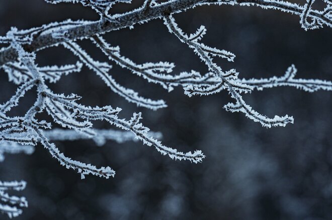 雪の花咲く絶景！  霧氷と川霧のつくり出す「儚くも美しい」幻想の世界にうっとり！【2022年2月・長野県白馬村】の画像002