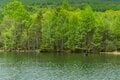 管理釣り場と侮ることなかれ！ 絶景の中でビッグレインボーが釣れる・八千穂レイク＜長野県＞の画像001