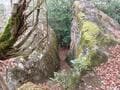 眺望ゼロでも人気の山！ 巨岩の低山「岩根山」山頂の秘密を探る！ 知られざる「パワースポット」まさかの「案内板ナシ」登山レポ【兵庫県川西市】の画像002