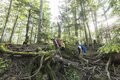 「日光白根山」関東以北“最高峰” 頂上から見る360度の大展望と高山植物に恵まれた美しき山【首都圏発！週末に行ける百名山ガイド vol.4】の画像006