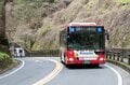【大人気の高尾山ハイキング】混雑を回避する “静かな尾根道”「南高尾山稜」への画像011