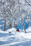 日本の冬、別世界へようこそ！「絶景のゲレンデ」を滑りたい【全国11スキー場】の画像014