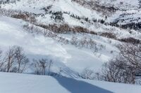 冬山シーズン到来！「遭難しても助かるために」 誰でもできる簡単で無料の装備！  登山届＋家を出る前にやっておくべきこと