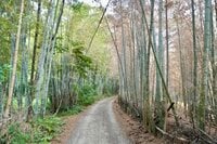 京都の穴場スポットで、2時間ハイキング！  名所「桃山御陵」散策＆「大岩山」山頂からのパノラマ絶景！  現地レポ【京都市伏見区・山科区】