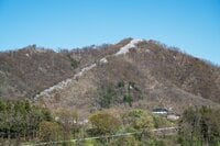 登山口から山頂まで桜が続く「お花見登山の聖地」光城山の桜は今が見頃