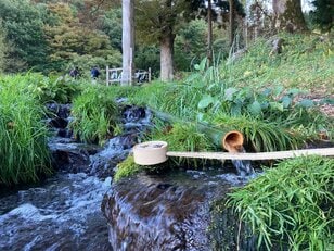 キャンプに行くなら寄り道したい！  長野・諏訪在住記者が教える「日本のド真ん中」諏訪IC周辺の「地元民しか知らない」魅力スポット