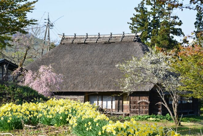 【長野県小谷村】歴史ある交易路を「塩の道祭り」で歩く！  古道の面影が残る“石畳” や 牛も泊まった“牛方宿”   ゴールで待つのは「北アルプス」の大パノラマ＜後編＞の画像007