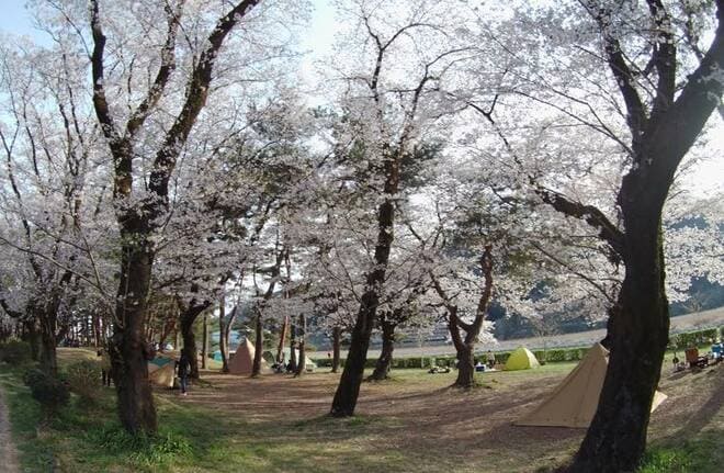 キャンプデビューの最適シーズンは「春」！  30年以上キャンプを楽しむライターが教える「10の魅力」と失敗しないための「3つの注意すべきこと」の画像004