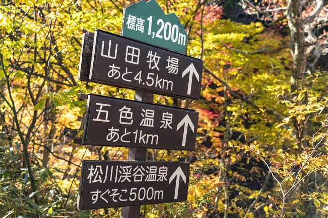 【上信越高原国立公園】「見頃になりました！」紅葉に彩られた赤い橋“高井橋”と松川渓谷“雷滝”  長野県高山村・2023年の画像003