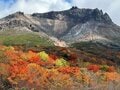 【2024年10月 第3週】今週末の紅葉の見ごろは？  名所＆人気スポットの最新情報をお届け「WEEKLY紅葉ニュース」の画像001
