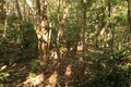 そそり立つ切岸が行く手を阻む。山陰の知られざる名城  石見国・周布城〈前編〉（島根県浜田市）【戦国の山城を攻める vol.01】の画像013