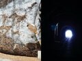 雪の白峰三山、縦走記【南アルプスの日々 vol.２】の画像004