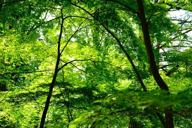 【御柱祭だけじゃもったいない！】諏訪にせっかく来たら足を延ばしたい『君の名は。』の聖地「立石公園の脇っちょ」がいま素晴らしい！の画像008