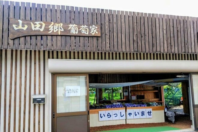 シャインマスカットや巨峰をキャンプで味わう贅沢！「大平ぶどう団地」現地4年通いライターの「注目スポット」＆「3つのメリット」レポート【栃木県栃木市大平町】の画像007