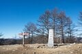 【首都圏近郊】冬にこそ歩くべき奥多摩三大急登「六ツ石山」の魅力の画像016