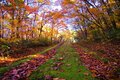 【まだ間に合う！晩秋の山歩き】紅葉終盤は落ち葉歩きで決まり「 駐車場から1時間以内の絶景」晩秋ハイク・東西2選【今日も山旅気分 vol.26】の画像006